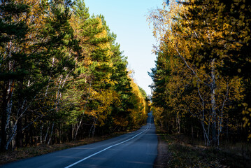 Obraz premium Autumn country road through colorful trees. Rustic, vintage, ambient. The road in the forest. An asphalt long country road with white lines in the center, stretching far beyond the horizon.