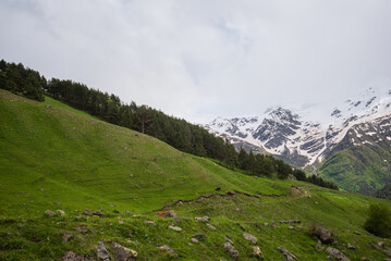 Fototapeta premium Picturesque mountain landscape with a small river and the Caucasian ridge in the background. Spring day with green bright grass and snow-capped peaks.
