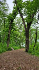 Small nature preserve near the interstate in Wisconsin