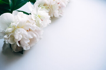Beautiful white peony flowers bouquet on pastel table top. Flat lay style. 