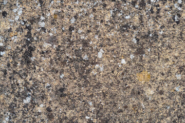 background, texture - a wall of even stone blocks, covered with lichen from old age