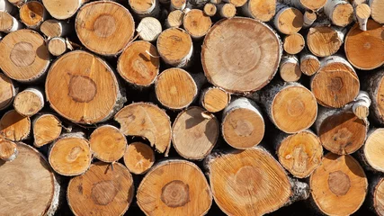Möbelaufkleber Cross section of tree stumps. Wooden tree background. Wooden logs. © Klever_ok