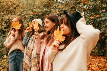 Four girlfriends of student are having fun on walk in autumn park holding bright yellow maple...