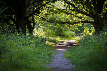 View on hiking path in nature park Oude Landen in Ekeren, near Antwerp, Belgium.