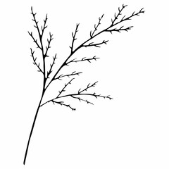 Black and White Hand Drawn Flower Leaves Silhouette Isolated on White Background