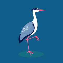 The heron stands on one leg