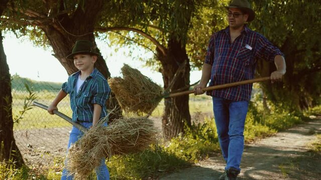 Father and son collects hay on a pitchfork and carries it along the fence