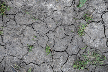 Drought causing cracks in the soil as a result of climate change