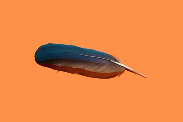 many bright blue feathers on an orange background pattern