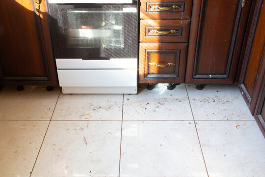 Dirty Kitchen Floor. Very Dirty Light Tile Floor In The Kitchen. Unwashed Gas Stove And Dirty Kitchen Furniture Under The Rays Of The Sun From The Window. Frying Pan, A Baking Dish In An Electric Oven