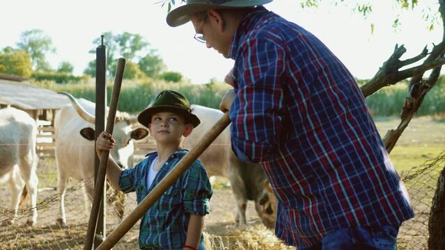 Father and son talk standing in front of Hungarian Gray Cattles on a farm