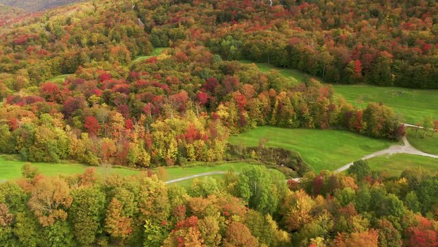 Golf field at Killington Mountain resort with cinematic vibrant fall foliage forest landscape background on sunny autumn day. 4K aerial Cinematic bright green Killington golf course colorful fall day