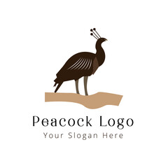 Peacock Logo design vector template