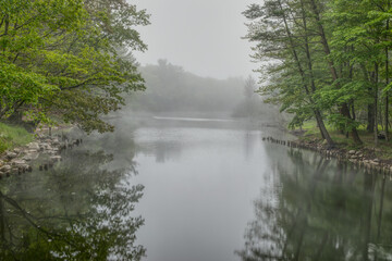 Morning fog on the river