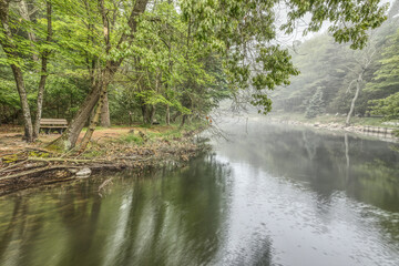 Morning fog on the river
