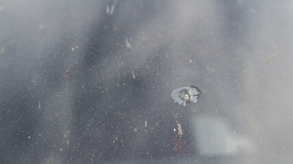 Ein Steinschlag in der Frontscheibe eines Auto.