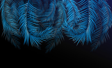 Blue palm night glow leaves