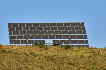 Field or orchard of solar panels to collect solar energy
