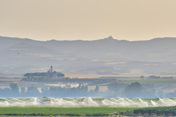 Distant view of irrigation and water curtains in cornfields