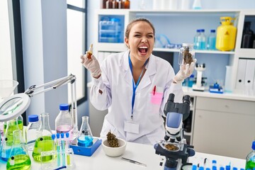 Young hispanic woman doing weed oil extraction at laboratory angry and mad screaming frustrated and furious, shouting with anger. rage and aggressive concept.