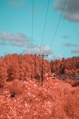 Infrared Landscape