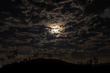 Obraz premium sunset in the forest