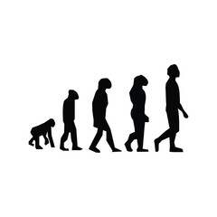 evolution of human