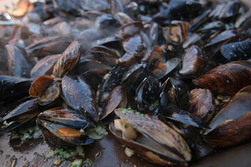 baking mussels on frying pan at summer day