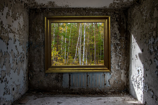 The view of a forest inside a image frame on the wall in an abandoned damaged room.