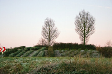 Ein Kreisverkehr im Frühling