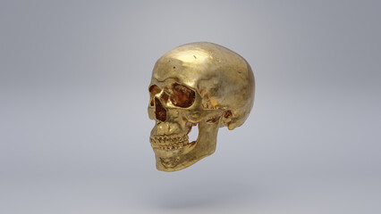 Human skull on white background, render 3d, gold material