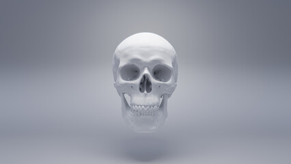 Fototapeta premium Human skull on white background, render 3d, white material
