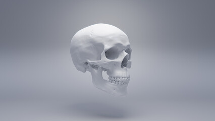 Fototapeta premium Human skull on white background, render 3d, white material