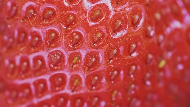 Super macro of the ted and ripe strawberry fruit on a sunny day.