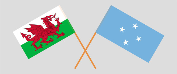 Crossed flags of Wales and Micronesia. Official colors. Correct proportion