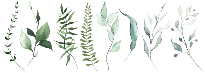Watercolor floral set of green leaves, branches, twigs etc. Isolated greenery illustration. 