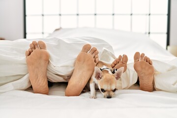 Couple feet and dog on bed.