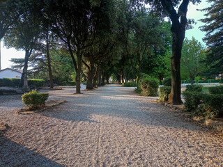Gravel path inside a forest that branches out to a central perspective escape route surrounded by nature hit by the evening light in a natural atmosphere