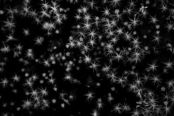 close up of moss in nature in black and white looking like stars in the night sky small star shaped plants in moss on rock in the woods forest or park outdoors horizontal format room for type content