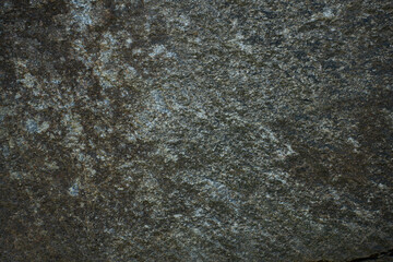 close up of green and grey textured rock in woods forest or park natural setting green grey tinge of hard rock in northern Ontario horizontal format background backdrop or wallapepr room for type