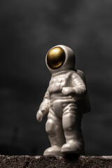 Fototapeta na wymiar astronaut strobist