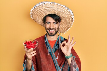 Young hispanic man wearing mexican hat holding chili doing ok sign with fingers, smiling friendly gesturing excellent symbol - obrazy, fototapety, plakaty