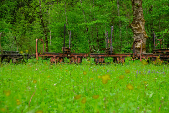 Waldbahn Reichraming, old museum narrow gauge railway close to Reichraming, Austria. Visible trucks or wagons for wood.