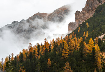 Hiking in the autumn forest in Dolomites
