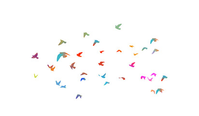 Multi-colored birds. A flock of flying rainbow birds. Vector illustration