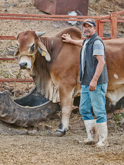 Farmer man posing with a bull flipping on camera rural life