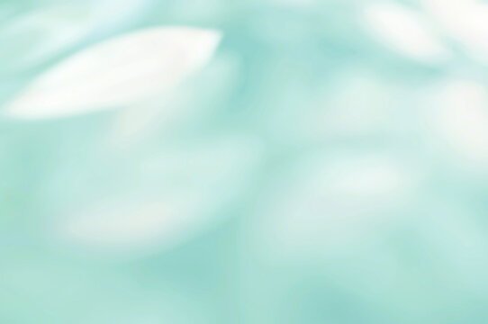 Green Mint Leaf background. Blurred leaves and circular bokeh Abstract wallpaper for backdrop and design