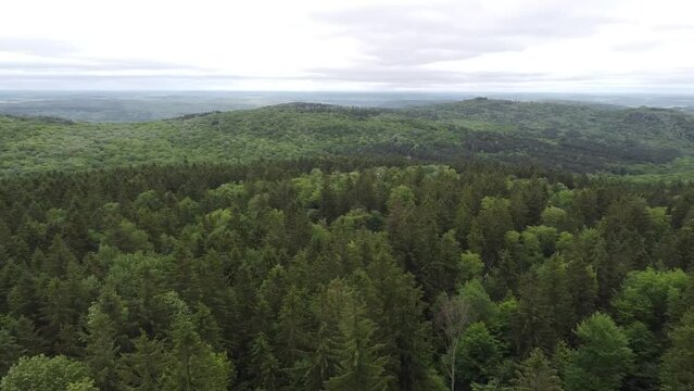 Drone Footage of Fingerlakes Trail Neil Brook