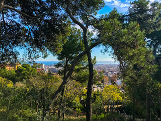 Fototapeta na wymiar view of Park Güell. The combination of nature and architecture in the design of Park Güell in Barcelona