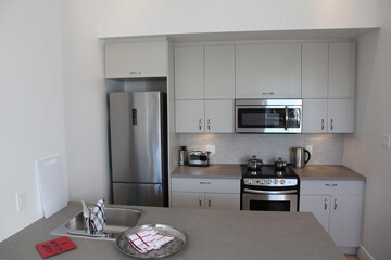 Appartement kitchen in a modern loft with stainless fridge and oven and microwave